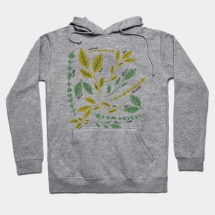 Green Herb Delight: A Pattern Featuring Basil, Thyme, Parsley, and Mint Hoodie